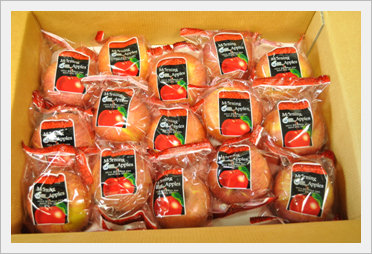 [Fruit-Vegetables] Washed Apple for Export  Made in Korea